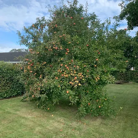 “den Gamle Lade I Hejls” Frühstückspension 4*