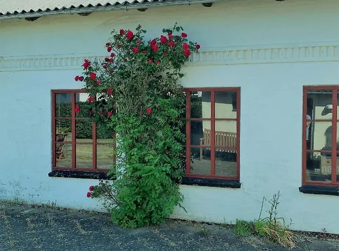 Oda ve Kahvaltı “den Gamle Lade I Hejls” 4*