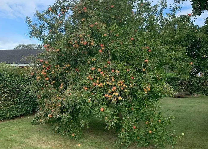 “den Gamle Lade I Hejls” Oda ve Kahvaltı 4*
