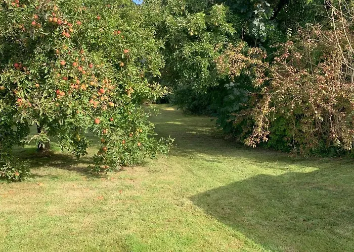 “den Gamle Lade I Hejls” 4*